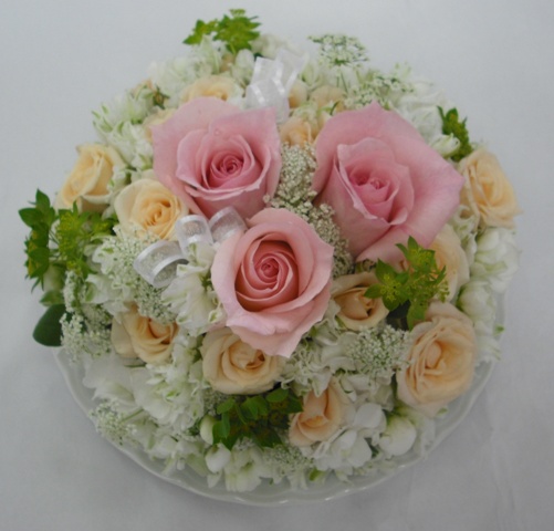 DSCF0208