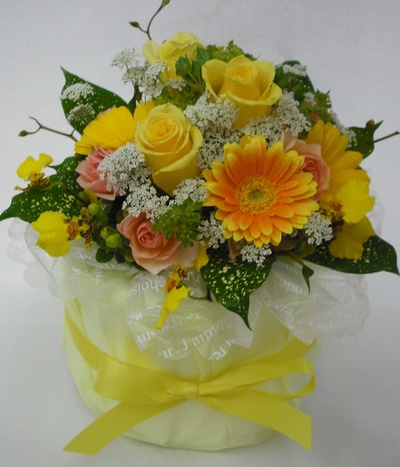 DSCF0237