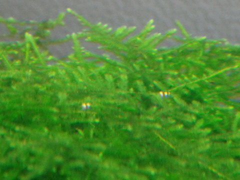 DSC01952