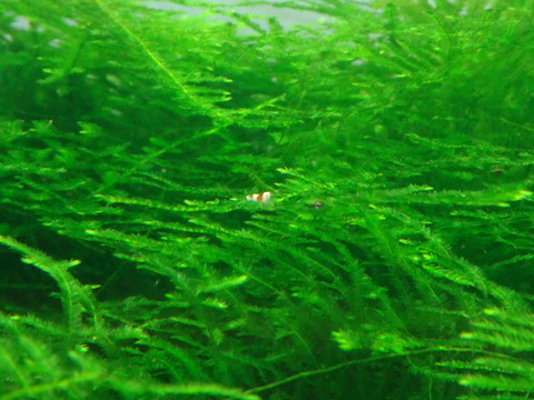 DSC01950