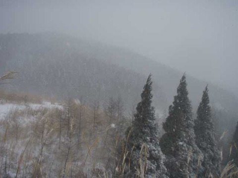 内黒山