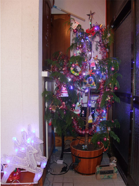 2011_クリスマスツリー