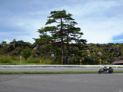 P1000237