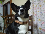�쥶�������ء�hizu