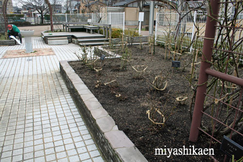 バラ園