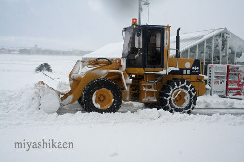 大雪