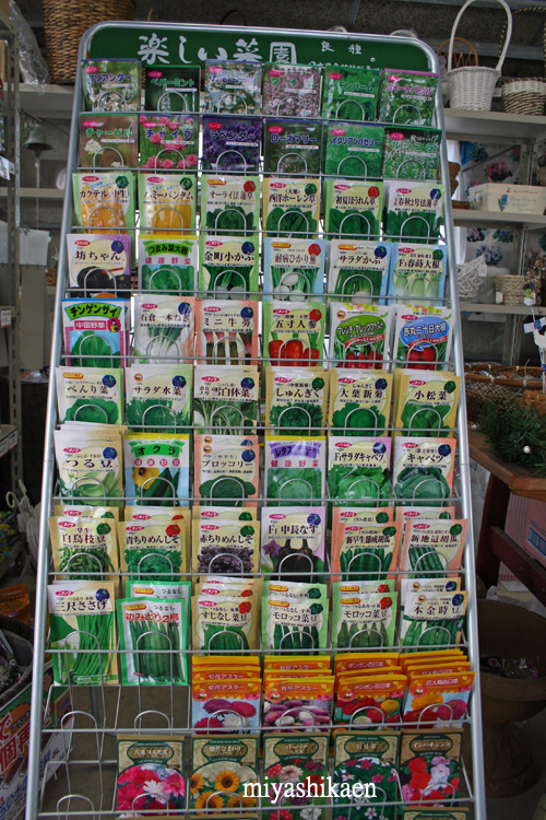 新種入荷