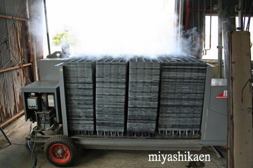 トレーの蒸気消毒