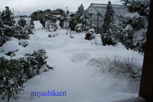 大雪 10.01.14