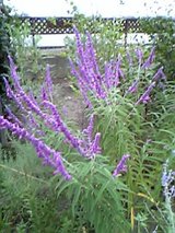 7eb096e1.jpg