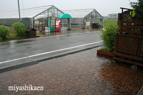 雨降り