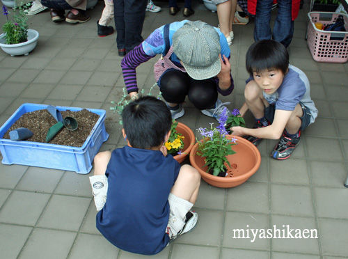 親子で寄せ植え