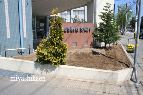 株式会社 ハウジングスタッフの花壇