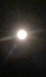 e14f7a46.jpg