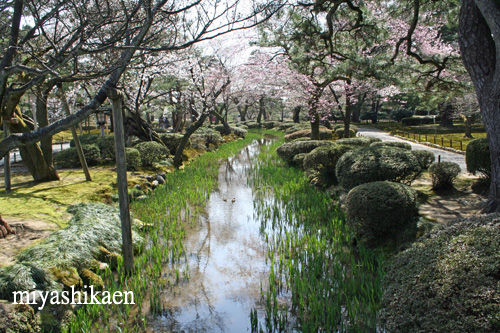 花見橋(曲水)