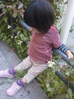さんぽ