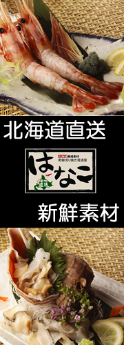 ��򲰤Ϥʤ����ե������HP