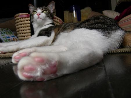 �İ�������­��