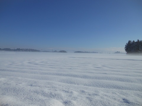 DSCN1389