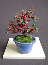 aa1b5f61-s.jpg