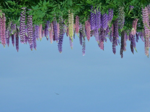 047