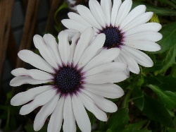 d8e03e66.jpg