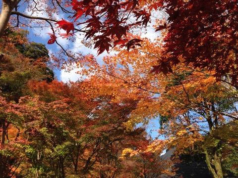 2014-11-19-14-08-43