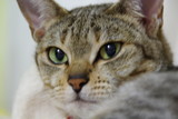 18d386c1.JPG