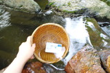 IMGP4713