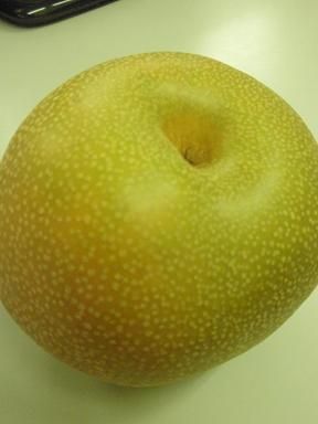 ブログ用