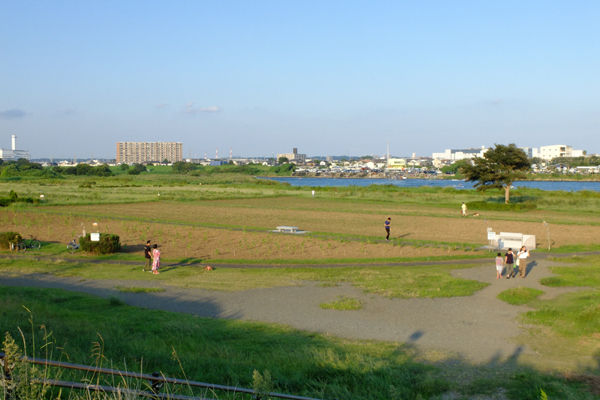 DSCF8534