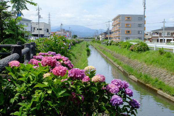 DSCF5432
