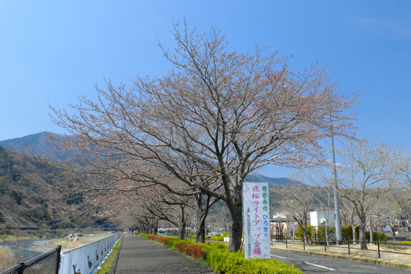 DSCF0391