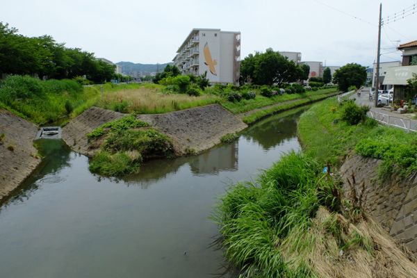 DSCF5452