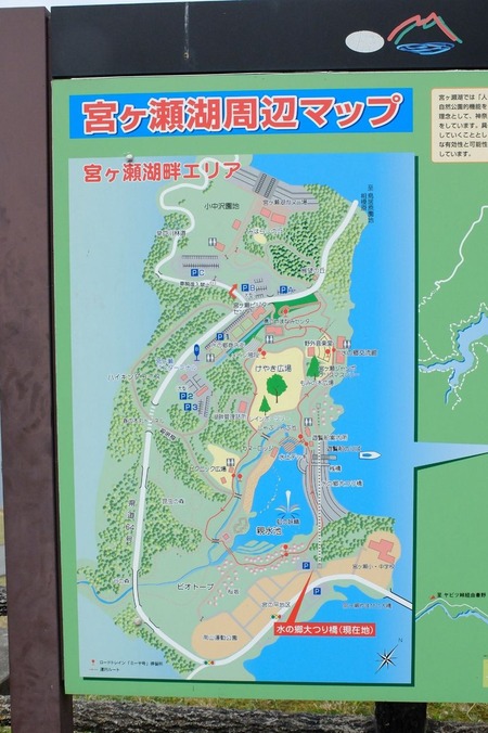 DSCF0877
