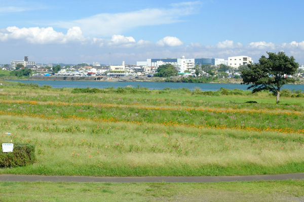 DSCF8505