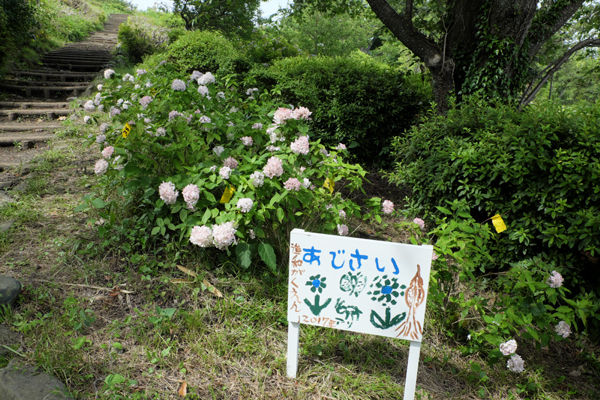 DSCF5468
