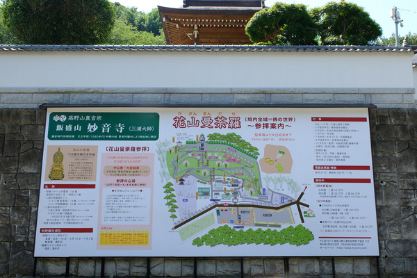 DSCF6864