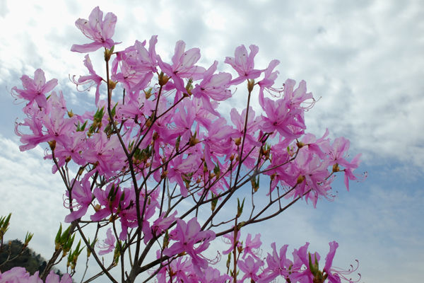 DSCF0878