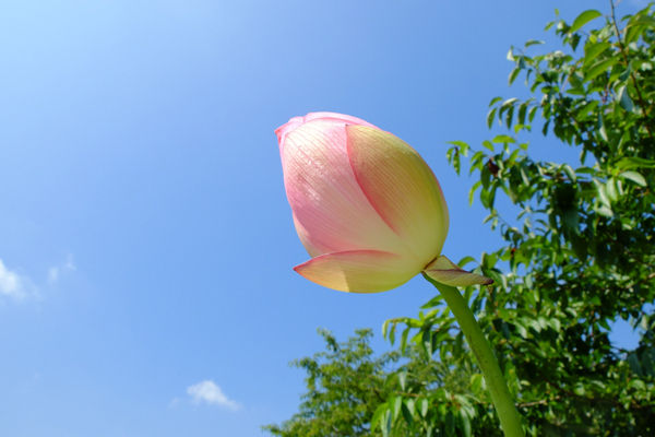 DSCF6932