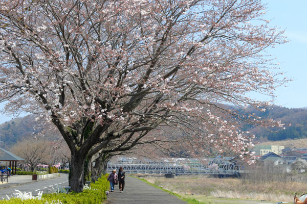 DSCF0405