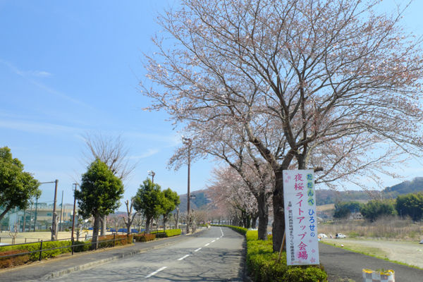 DSCF0403