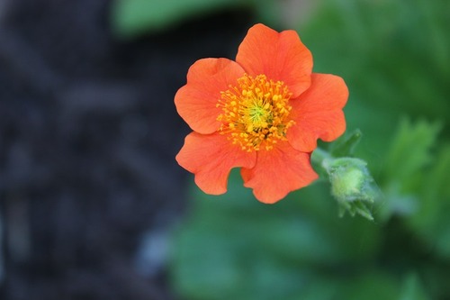 July1_geum
