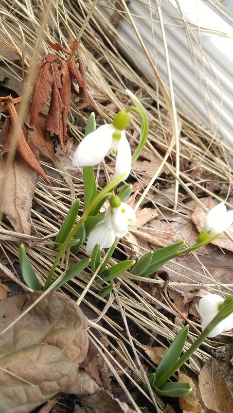 20180330_141641