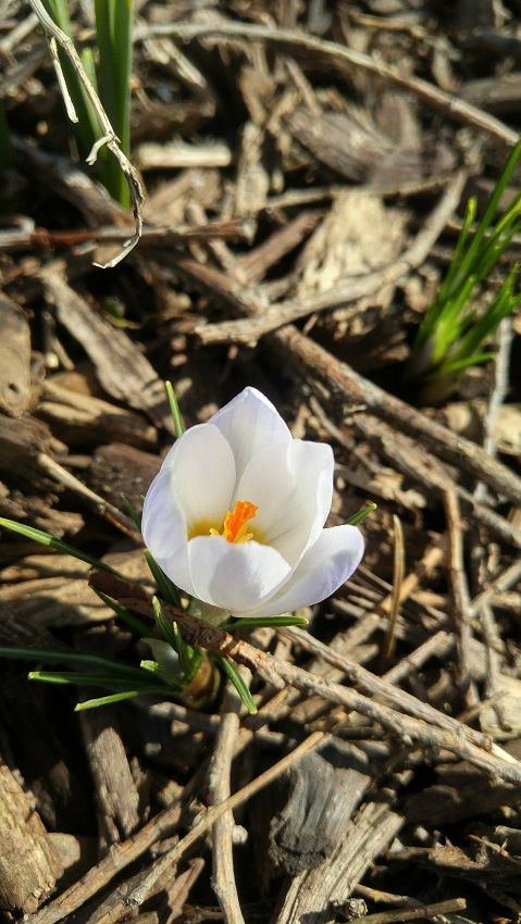 20180331_114452_HDR