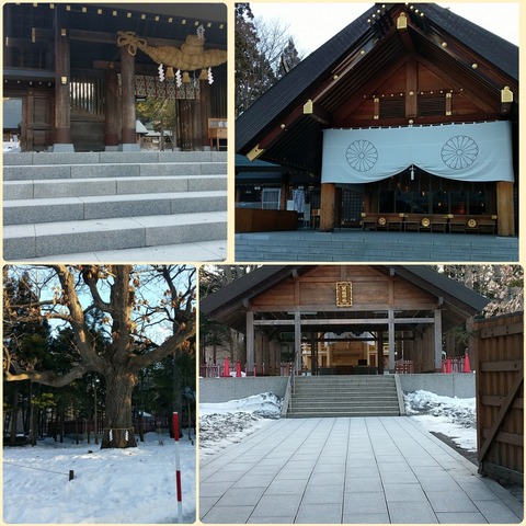 Photo Collage_20190310_185003828