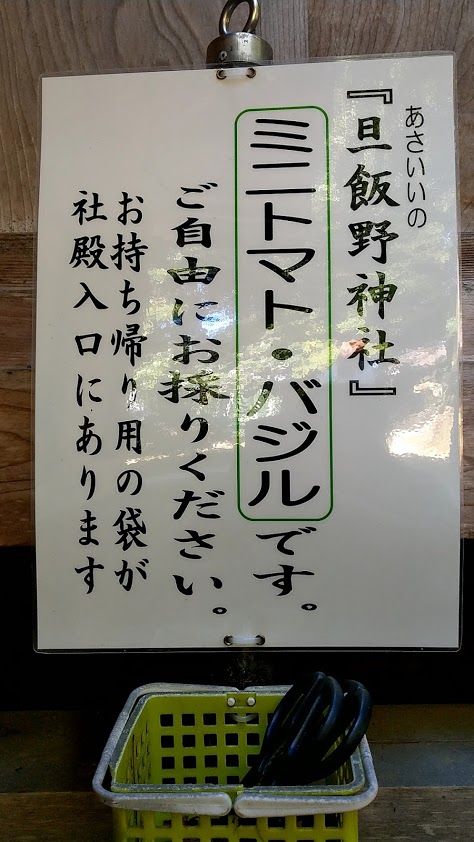 20181108_111725773