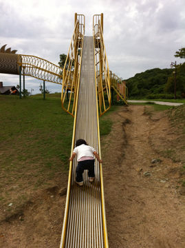 画像 408