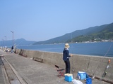 上関釣り2