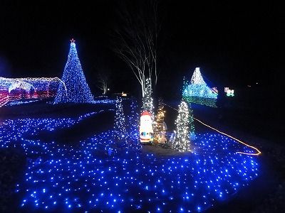 DSC08142